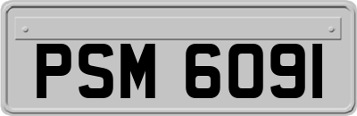PSM6091