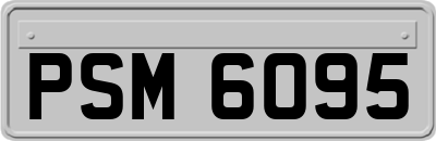 PSM6095