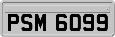PSM6099