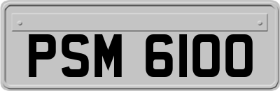 PSM6100