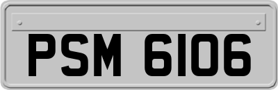 PSM6106