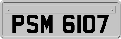 PSM6107