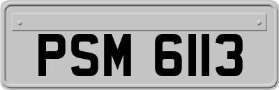 PSM6113