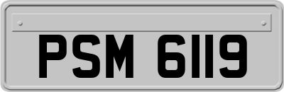PSM6119