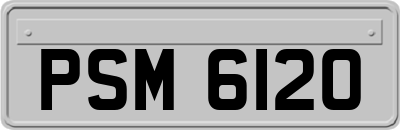 PSM6120