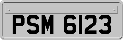 PSM6123