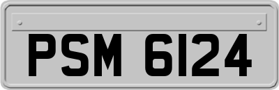 PSM6124