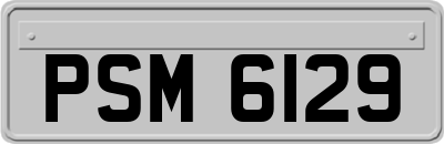 PSM6129