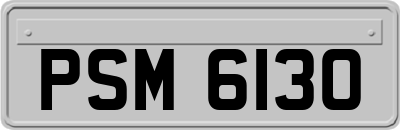PSM6130