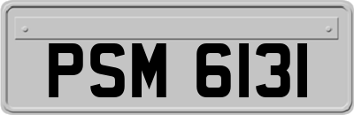 PSM6131