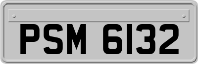 PSM6132