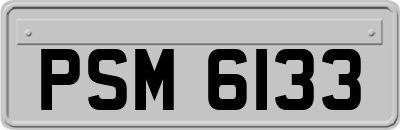 PSM6133