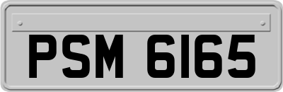 PSM6165