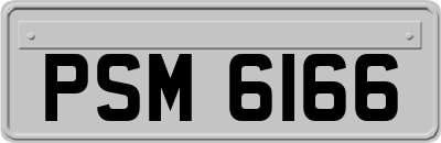 PSM6166