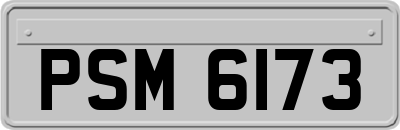 PSM6173