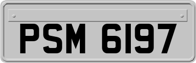 PSM6197