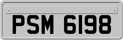 PSM6198