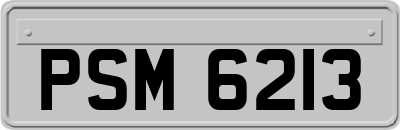 PSM6213