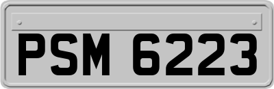 PSM6223