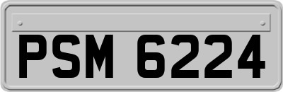 PSM6224