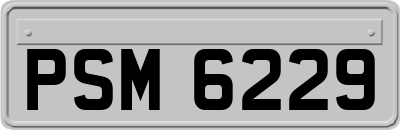 PSM6229