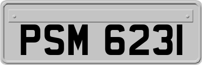 PSM6231