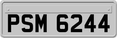 PSM6244