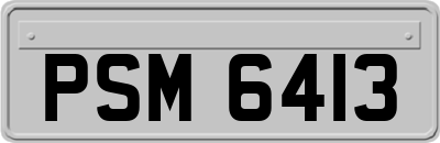 PSM6413