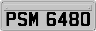 PSM6480
