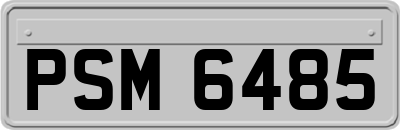 PSM6485