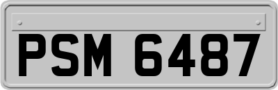 PSM6487