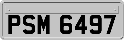 PSM6497