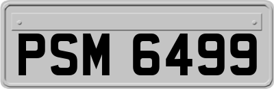 PSM6499