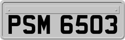 PSM6503