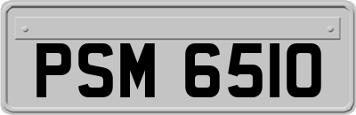 PSM6510