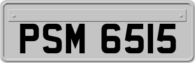 PSM6515