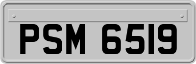 PSM6519