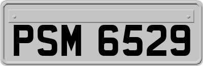 PSM6529
