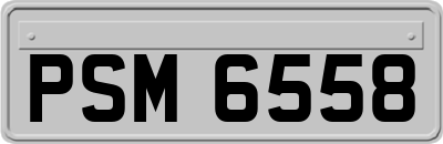 PSM6558