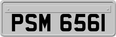 PSM6561