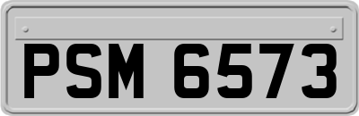 PSM6573