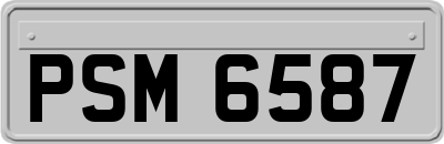 PSM6587