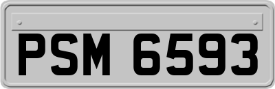PSM6593