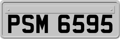 PSM6595