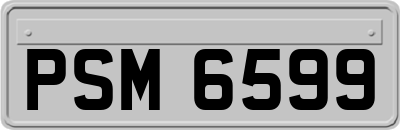 PSM6599
