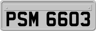 PSM6603