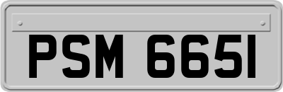 PSM6651