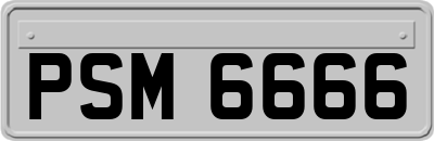 PSM6666