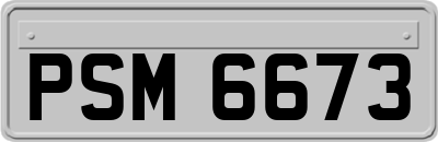 PSM6673