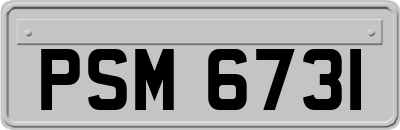 PSM6731